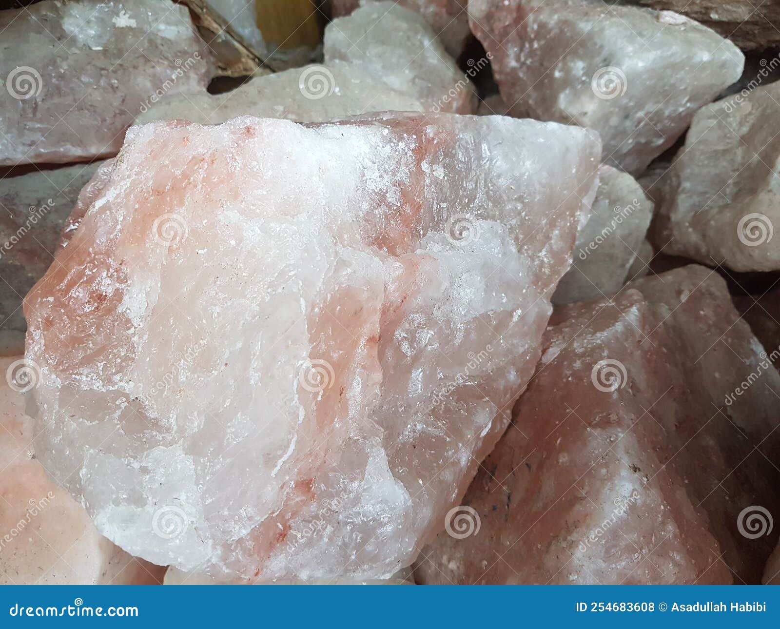 Salt Lick/ Rock Salt/ Native Salts/ Stock Photo Image of native