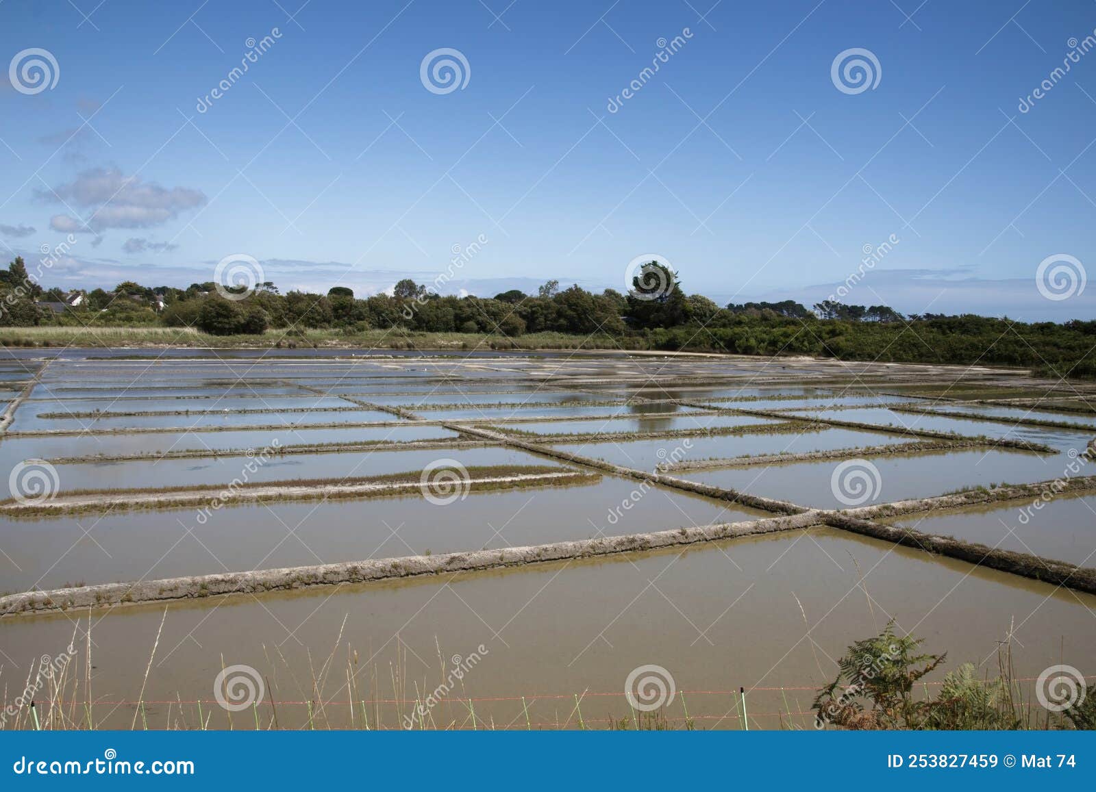 Salt Marsh in Brittany in Summer Stock Image Image of design