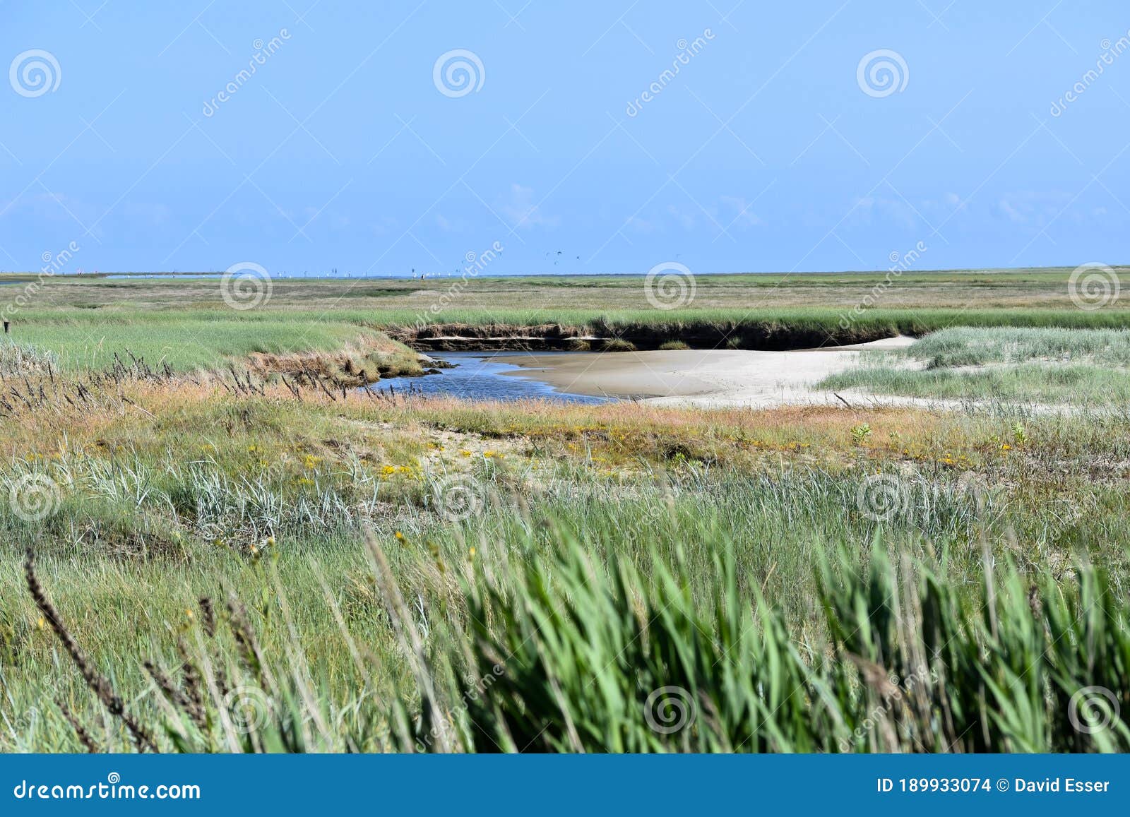 Salt Meadow Landscape in St. Peter Ording Stock Photo Image of nature