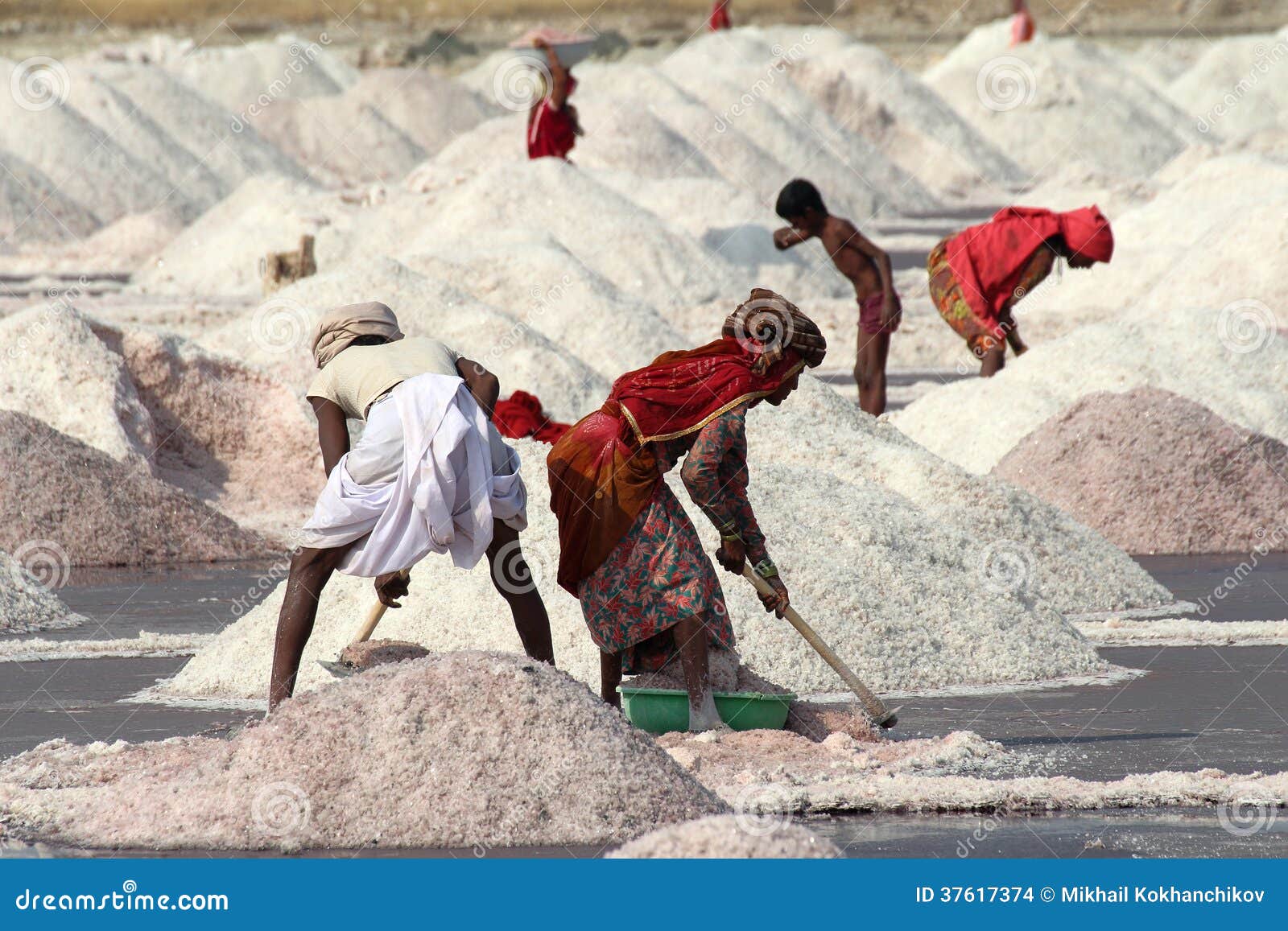 Salt Mining on Sambhar Lake in India Editorial Stock Image Image of