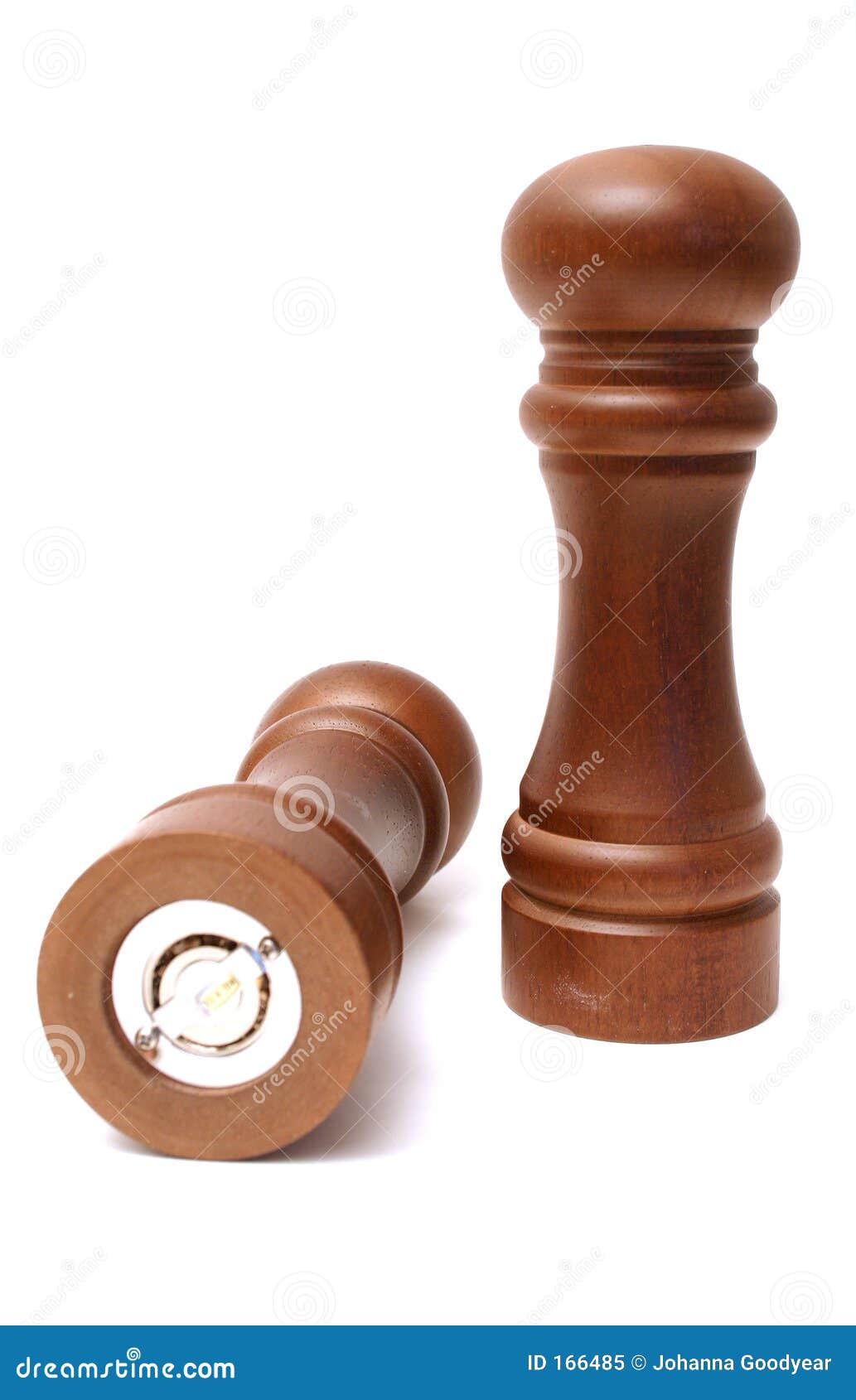 Salt and Pepper stock image. Image of domestic, shaker 166485