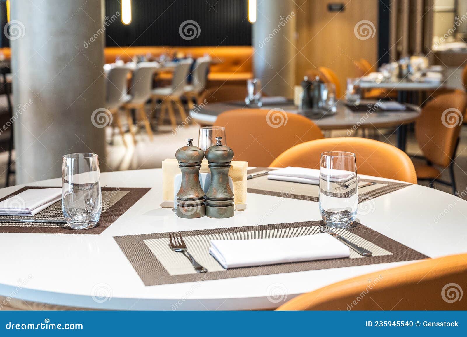 Salt and pepper shakers stock photo. Image of setting 235945540