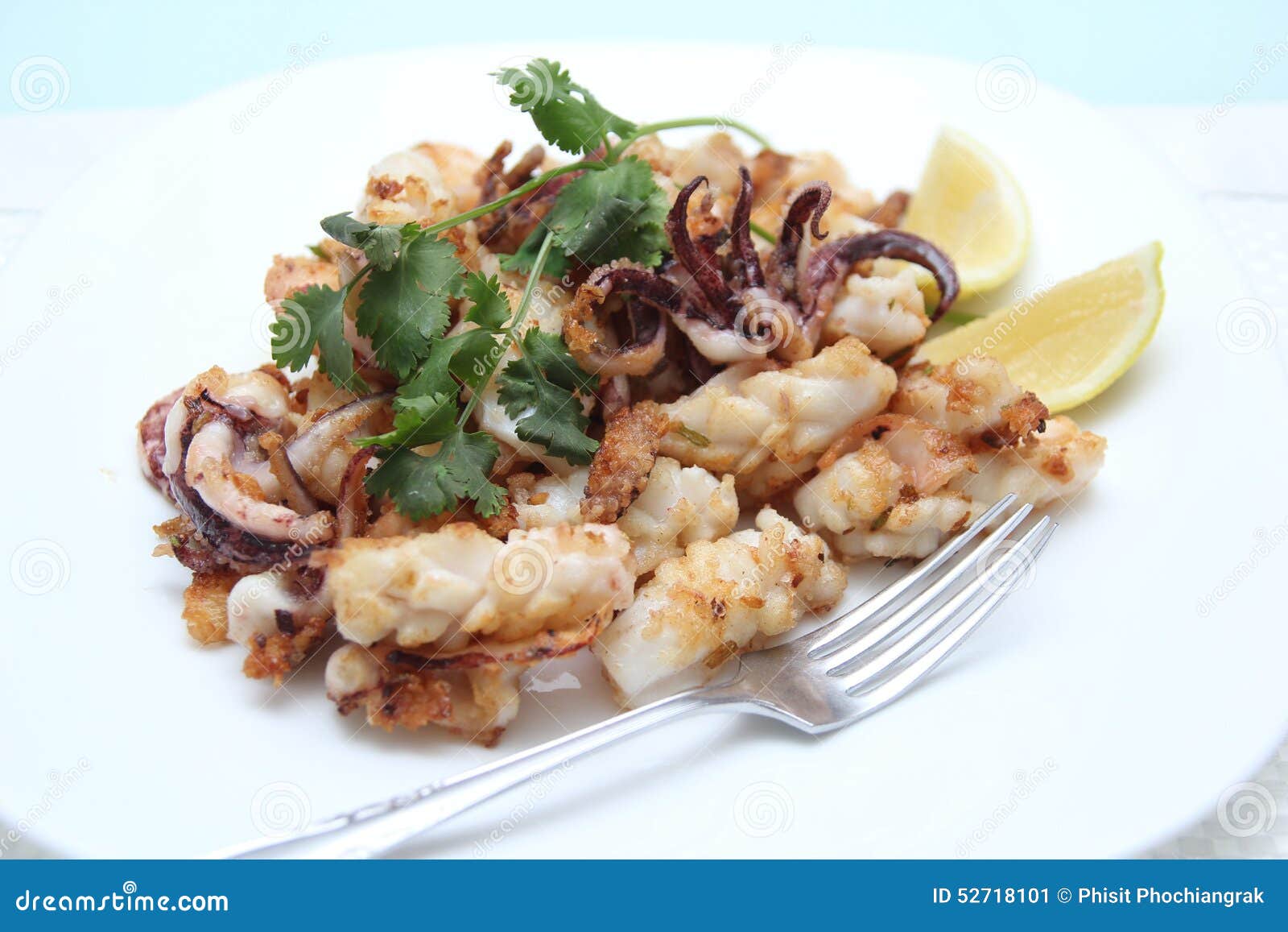 Salt & pepper squid stock image. Image of squid, meal 52718101
