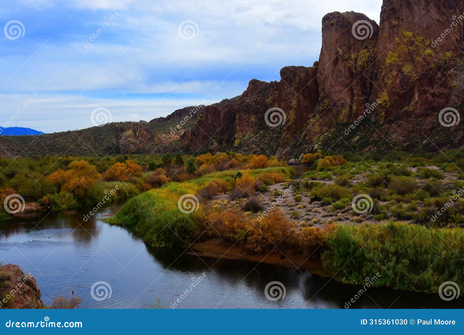 salt river recreation area arizona