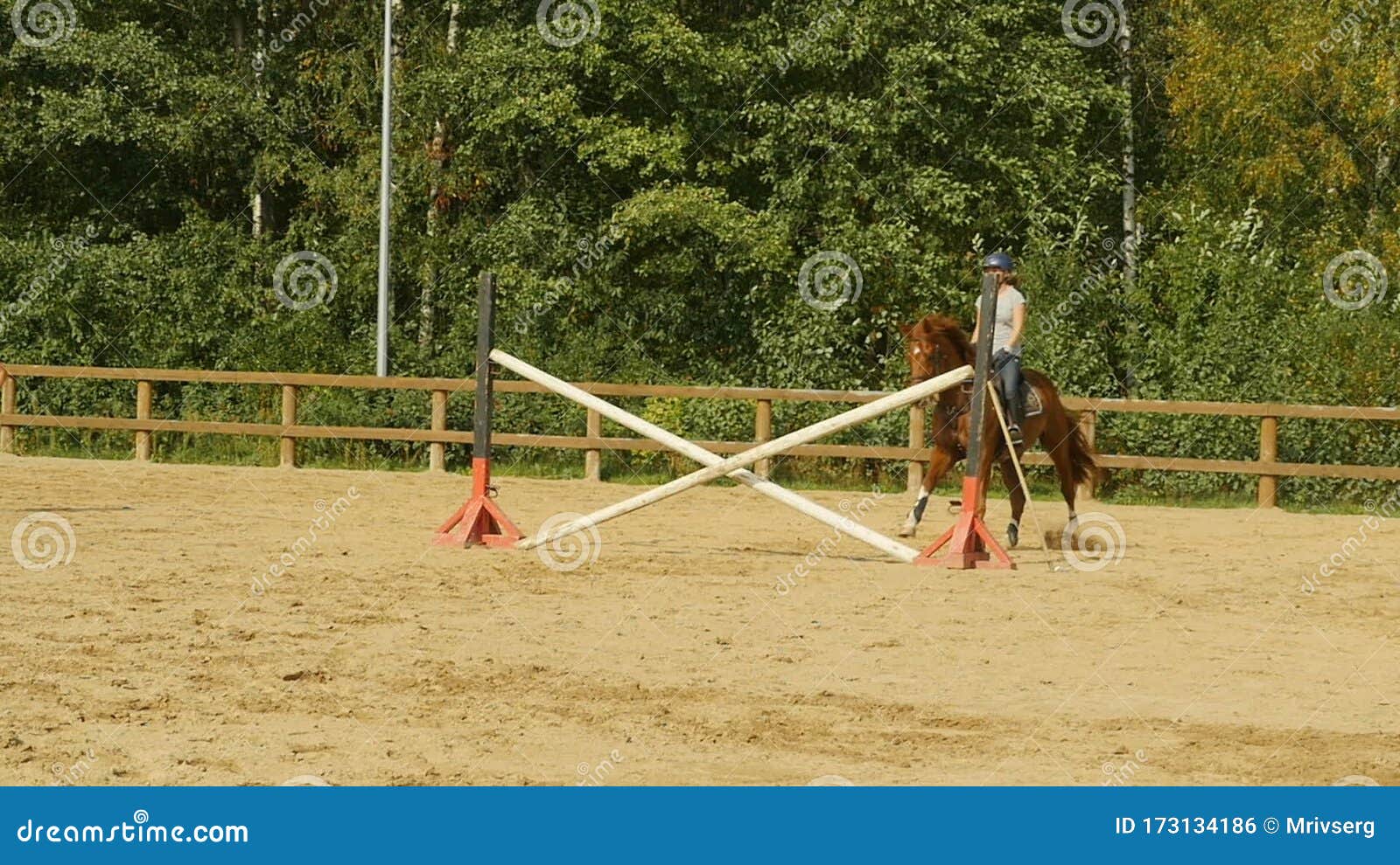 cavalo pulando, concorrência, obstáculo, saltar, esporte