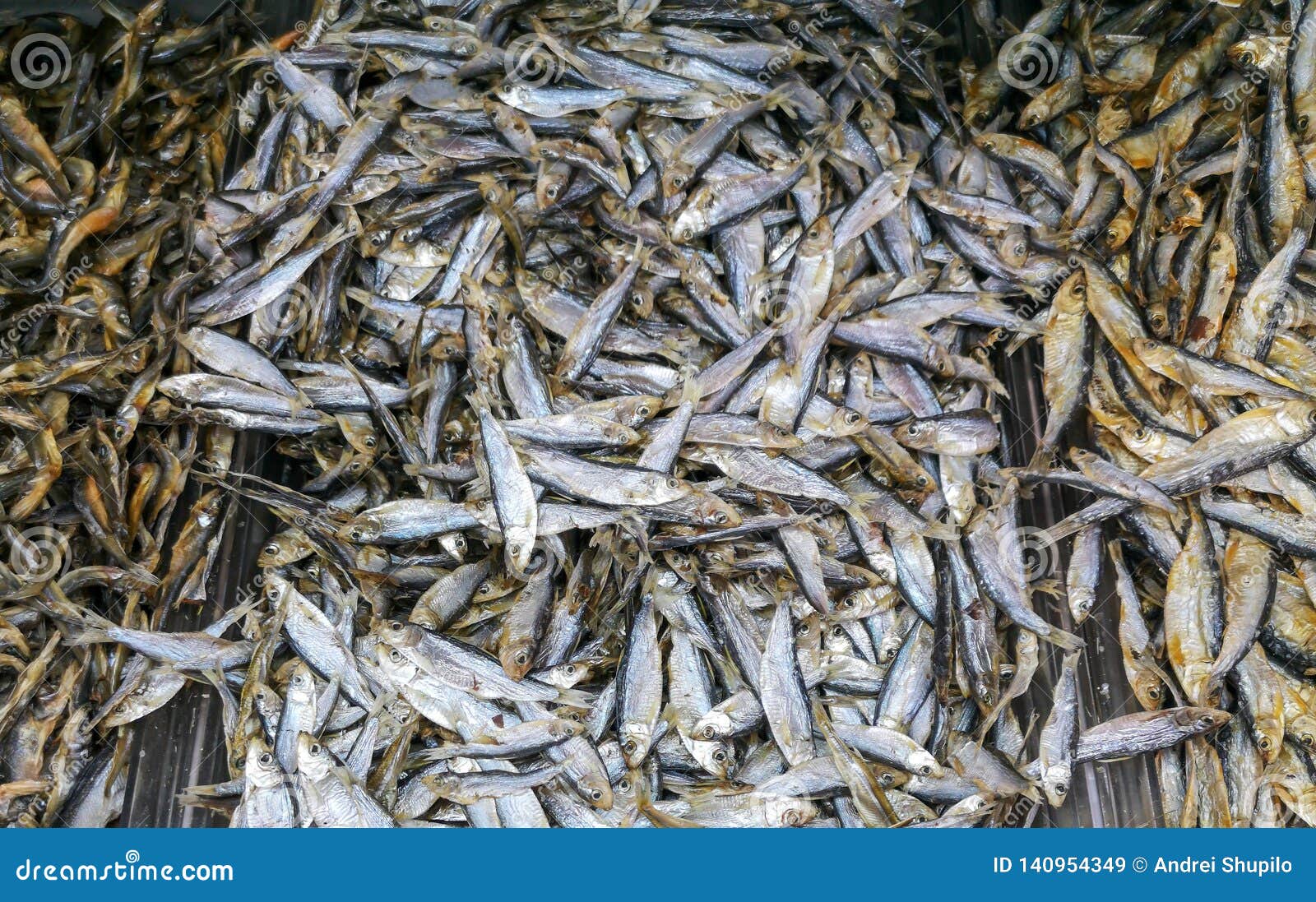 Salted Dried Fish on the Market Shelf Stock Image Image of surface