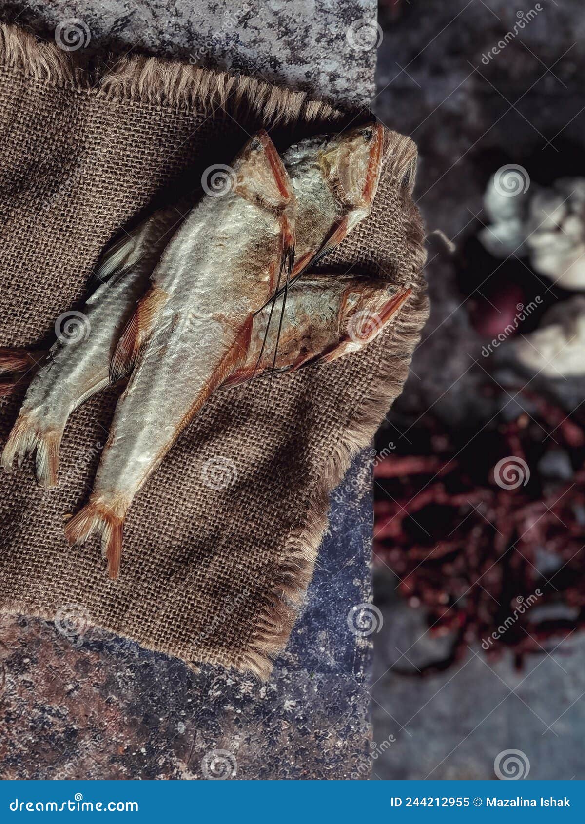 Salted Dried Fish on a Table and Some Other Spices Below Stock Image