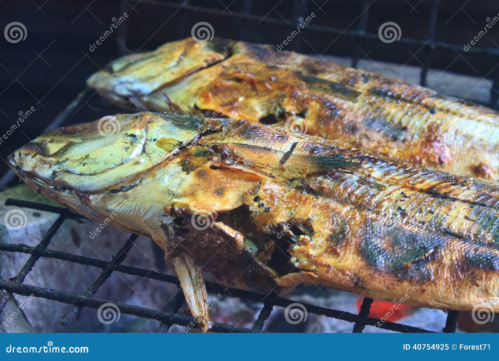 Salted Fish on a Grill Stove Stock Image Image of cuisine, lattice