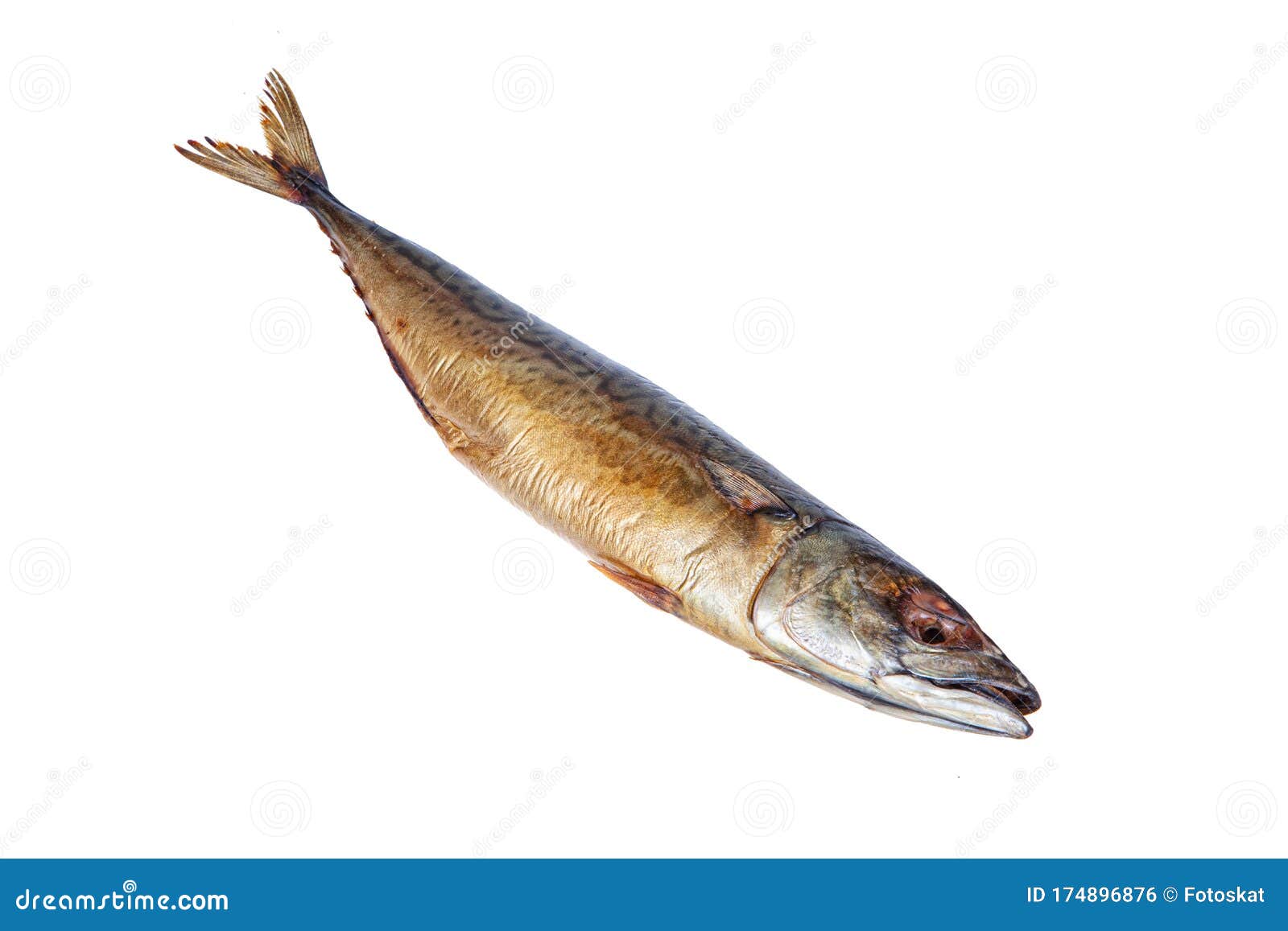 Salted Fish stock photo. Image of delicacy, market, large 174896876