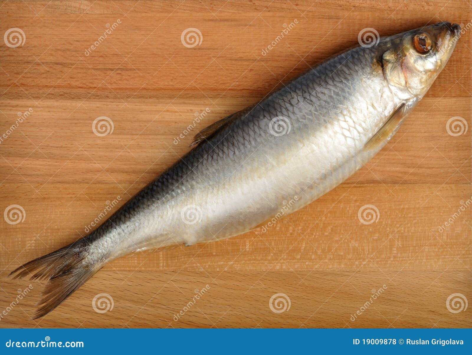 Salted herring stock photo. Image of silver, salted, seafood 19009878