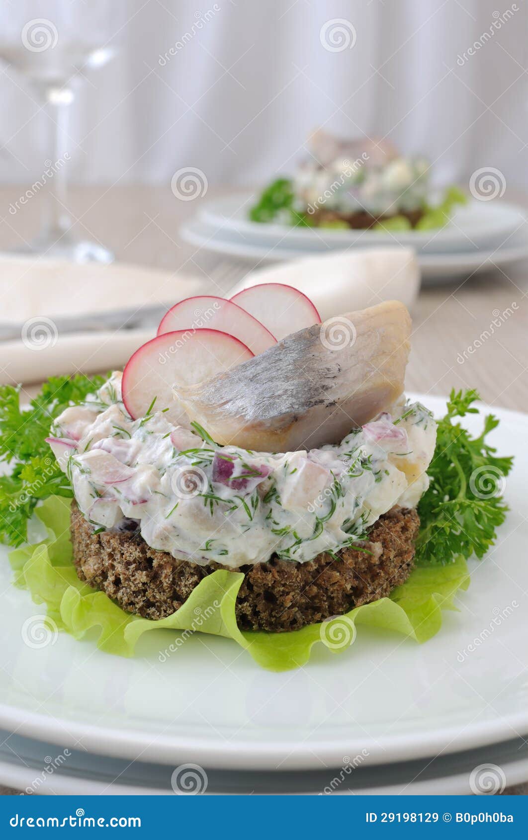 Salted Herring Tartare with Apple and Radish Stock Image Image of