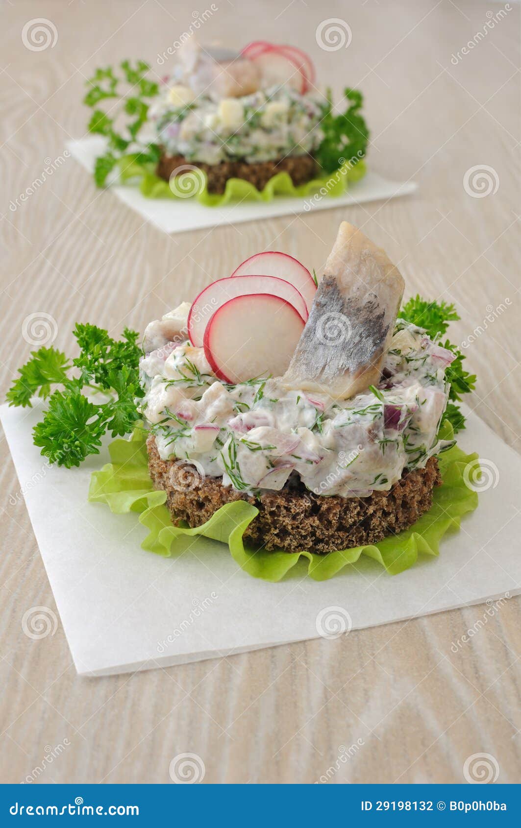 Salted Herring Tartare With Apple And Radish Stock Photo Image of