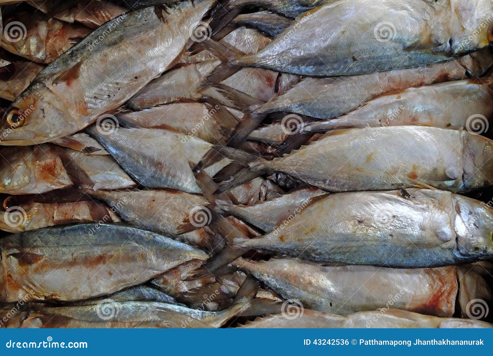 Salted Mackerel fish stock photo. Image of food, fishs 43242536
