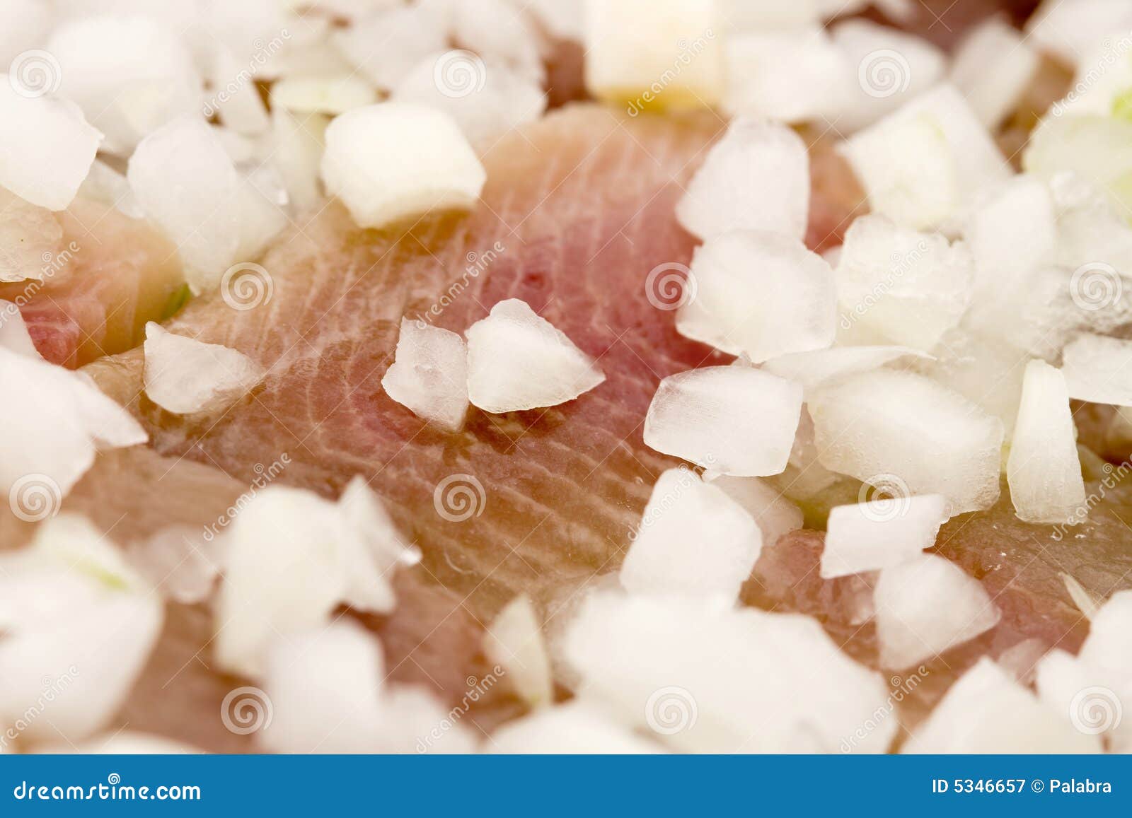 Salted New Dutch herring 1 stock image. Image of fishery 5346657
