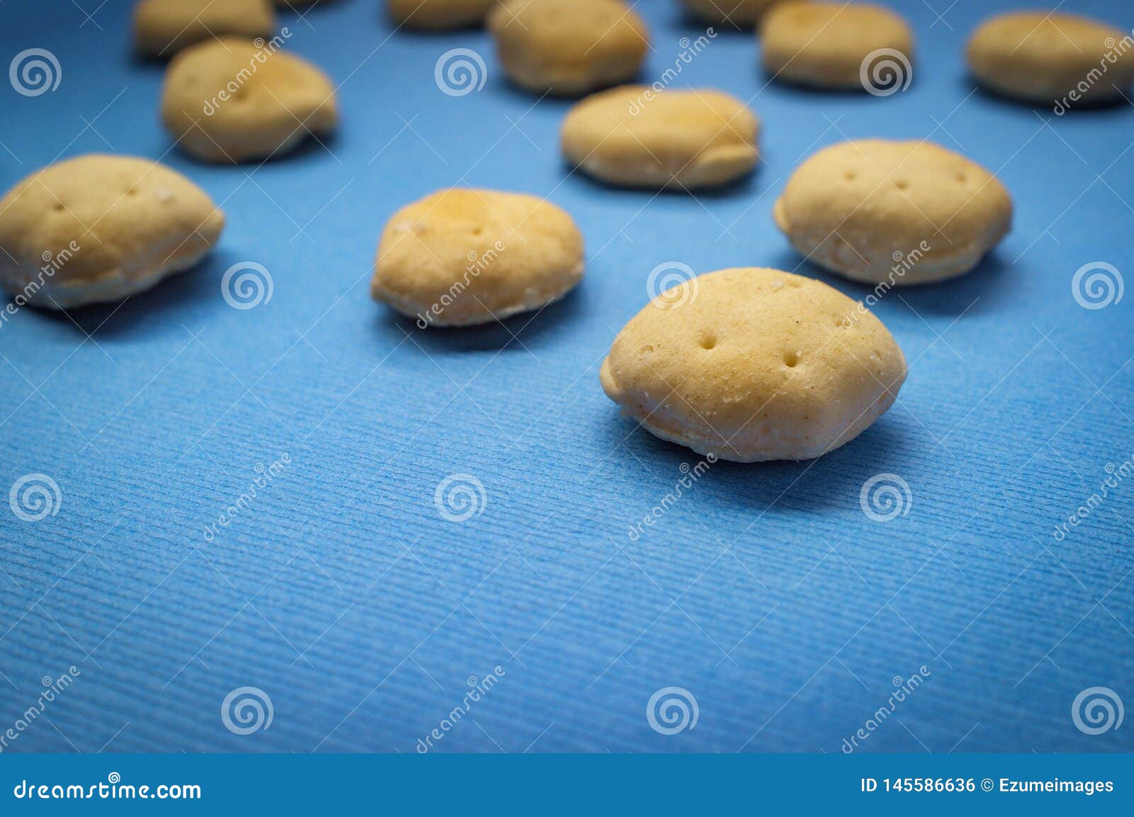Salted Oyster Crackers stock photo. Image of crackers 145586636