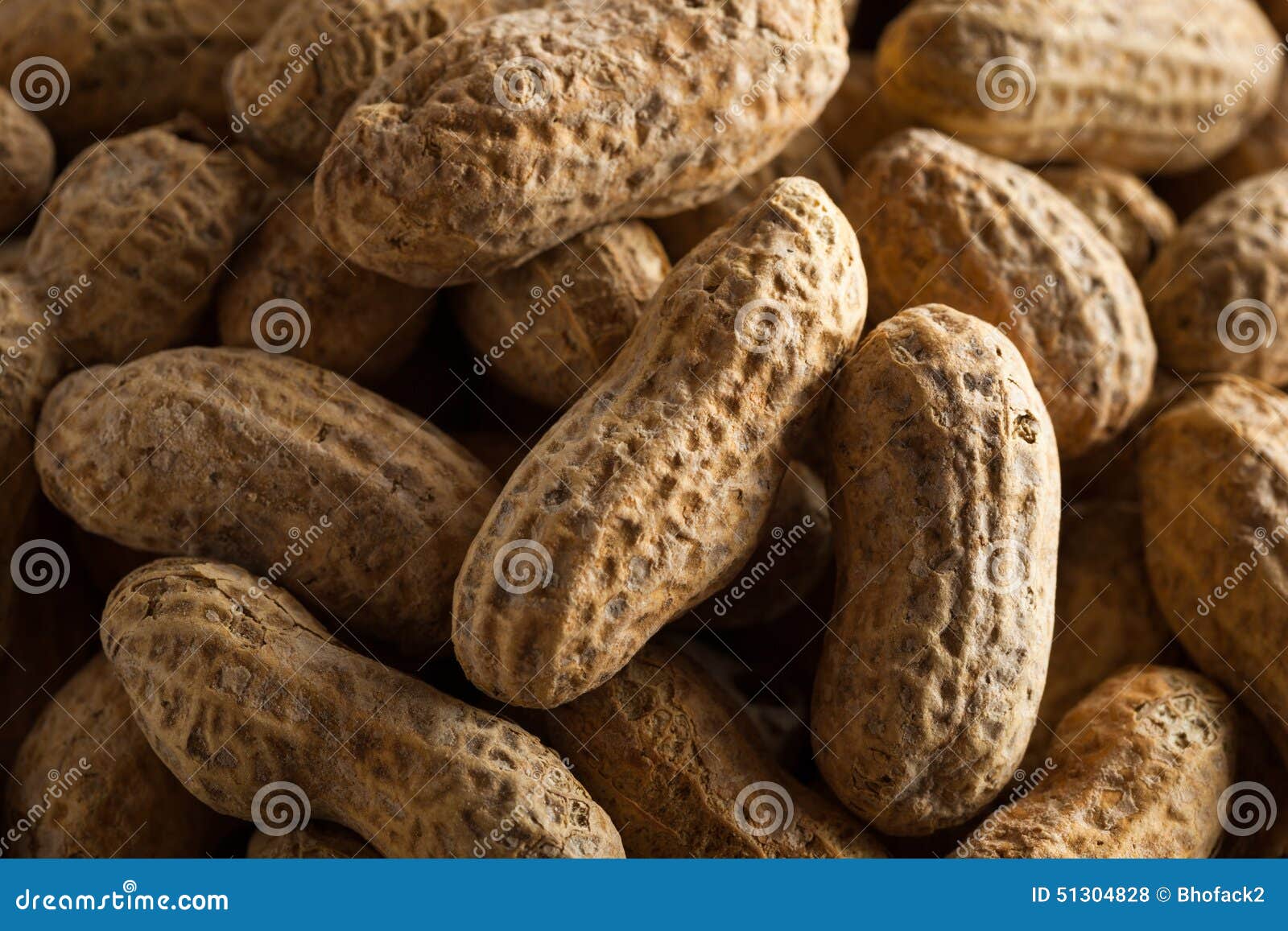 Salted Roasted Shelled Peanuts Stock Photo Image of nutshell