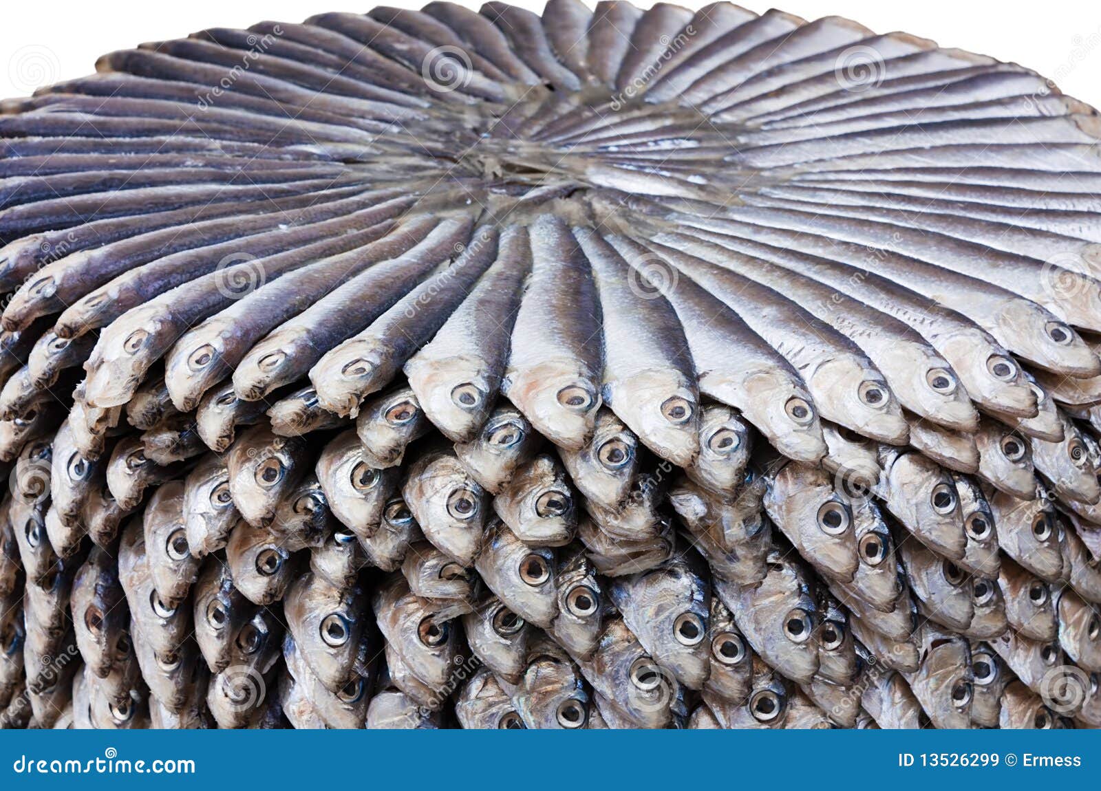 Salted sardines stock image. Image of appetizer, heads 13526299