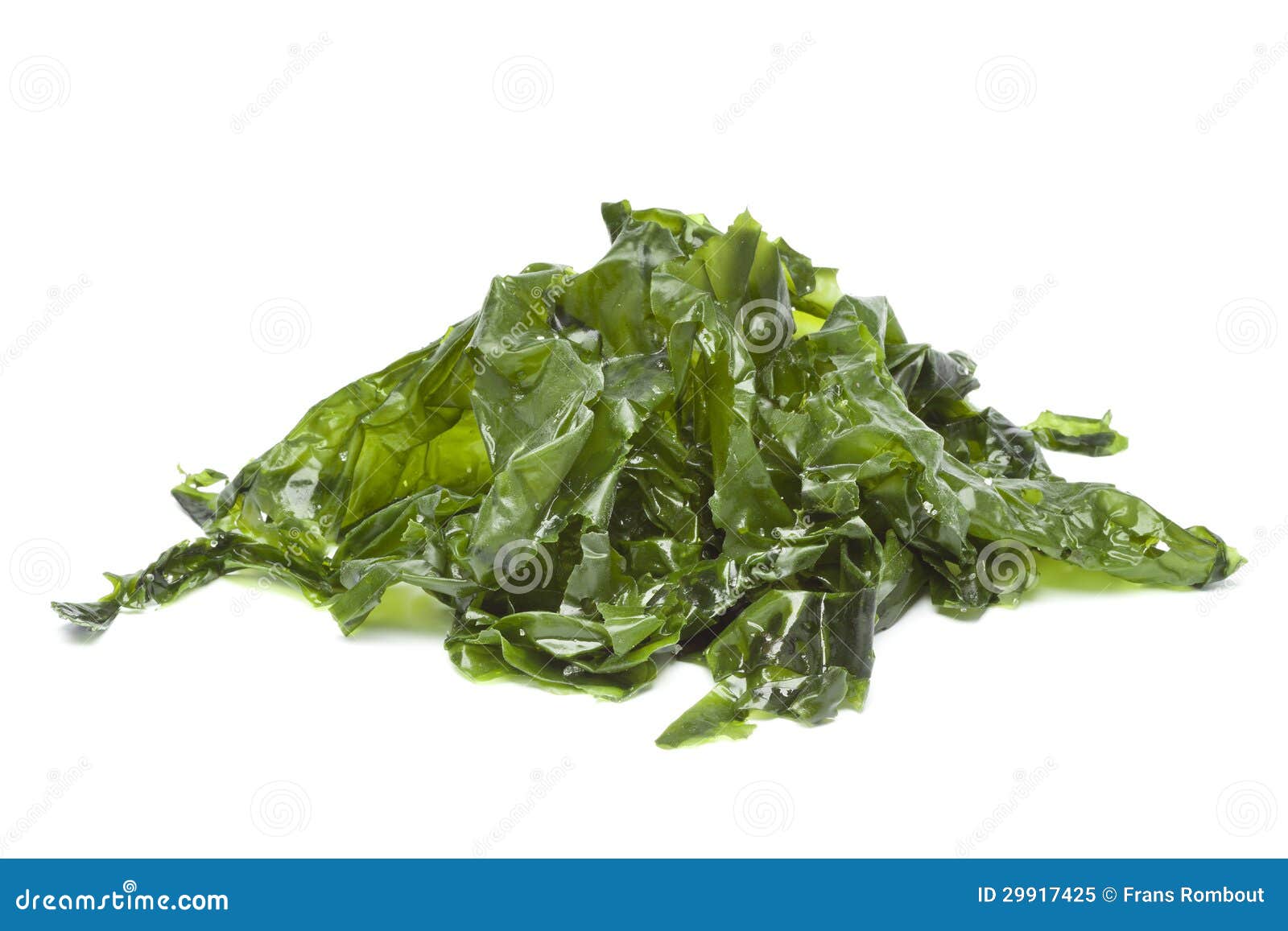Salted sea lettuce stock image. Image of edible, heap 29917425