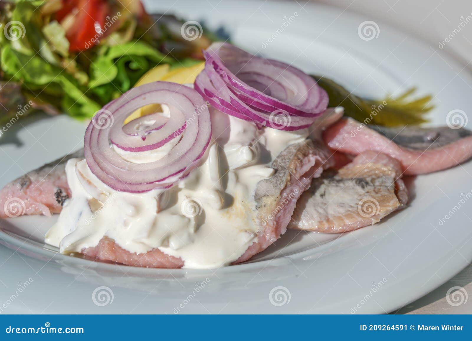 salted young herring fillet also called soused with apples and sour cream, gherkin and onions, traditional dutch and german fish