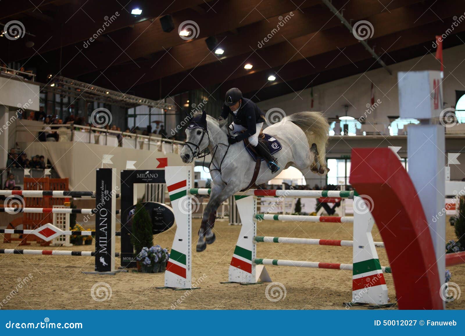 Salto Di Vermezzo Di Milan Winter Show Fotografia Editoriale - Immagine ...