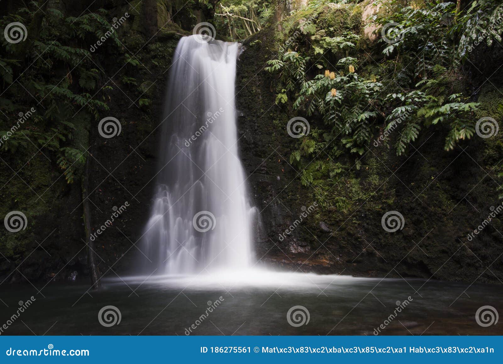 salto do prego povoaÃÂ§ÃÂ£o, acores