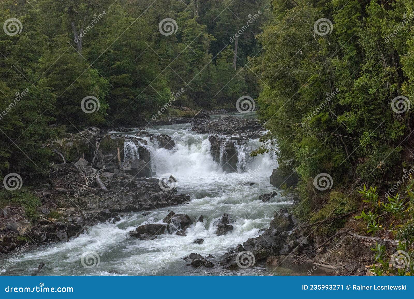 the salto los novios waterfall in puyehue national park, chile