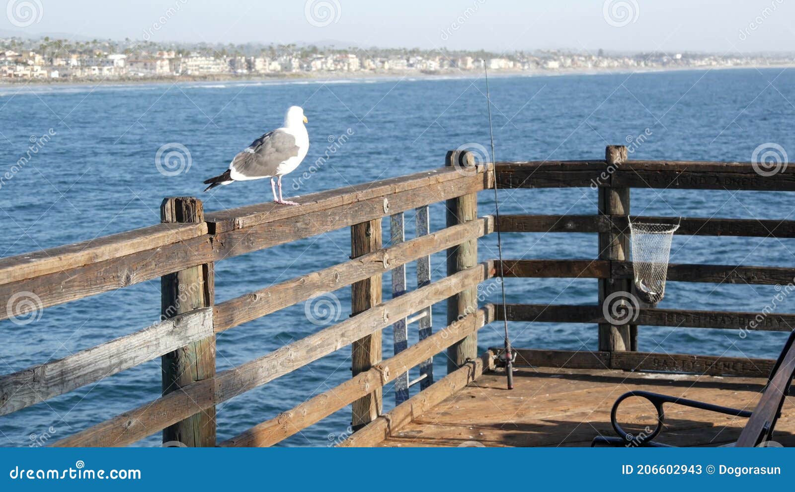 Saltwater Angling on Pier California USA. Sea Ocean. Fishing Catch