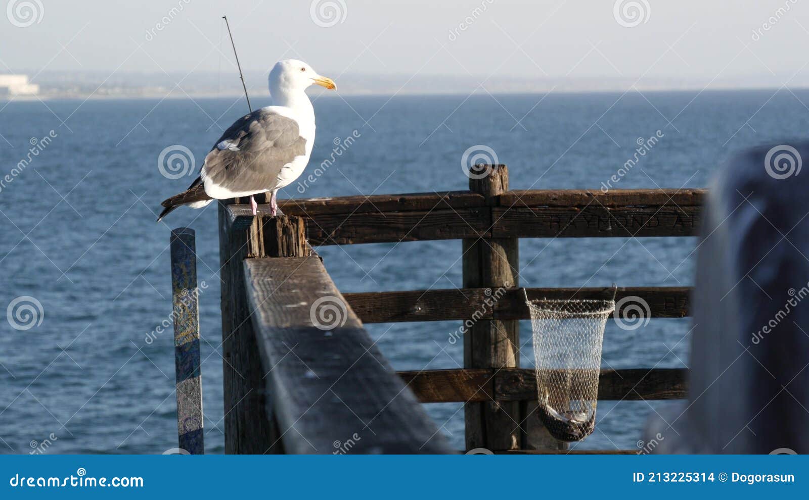 Saltwater Angling on Pier California USA. Sea Ocean. Fishing Catch