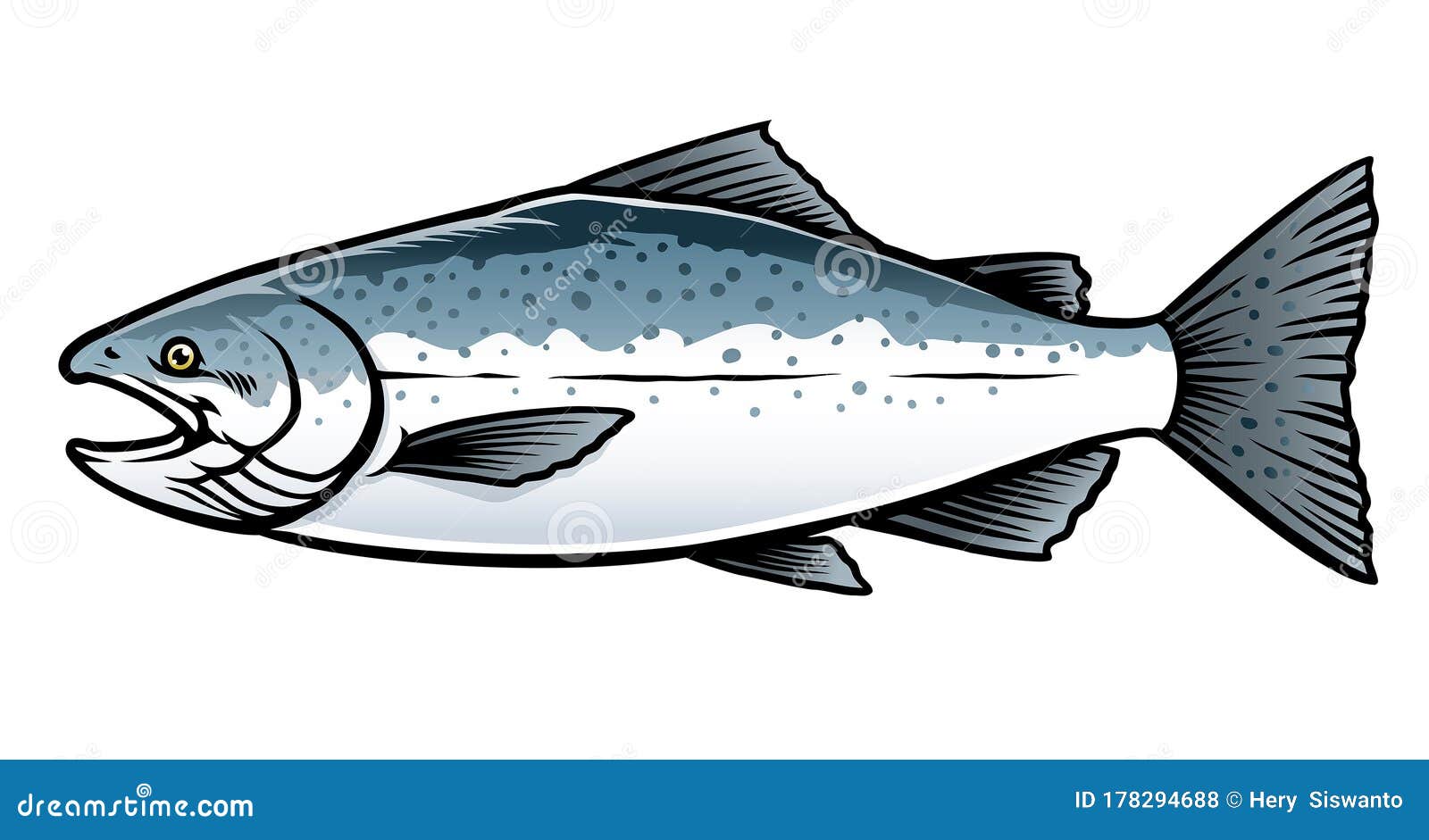 saltwater chinook salmon fish