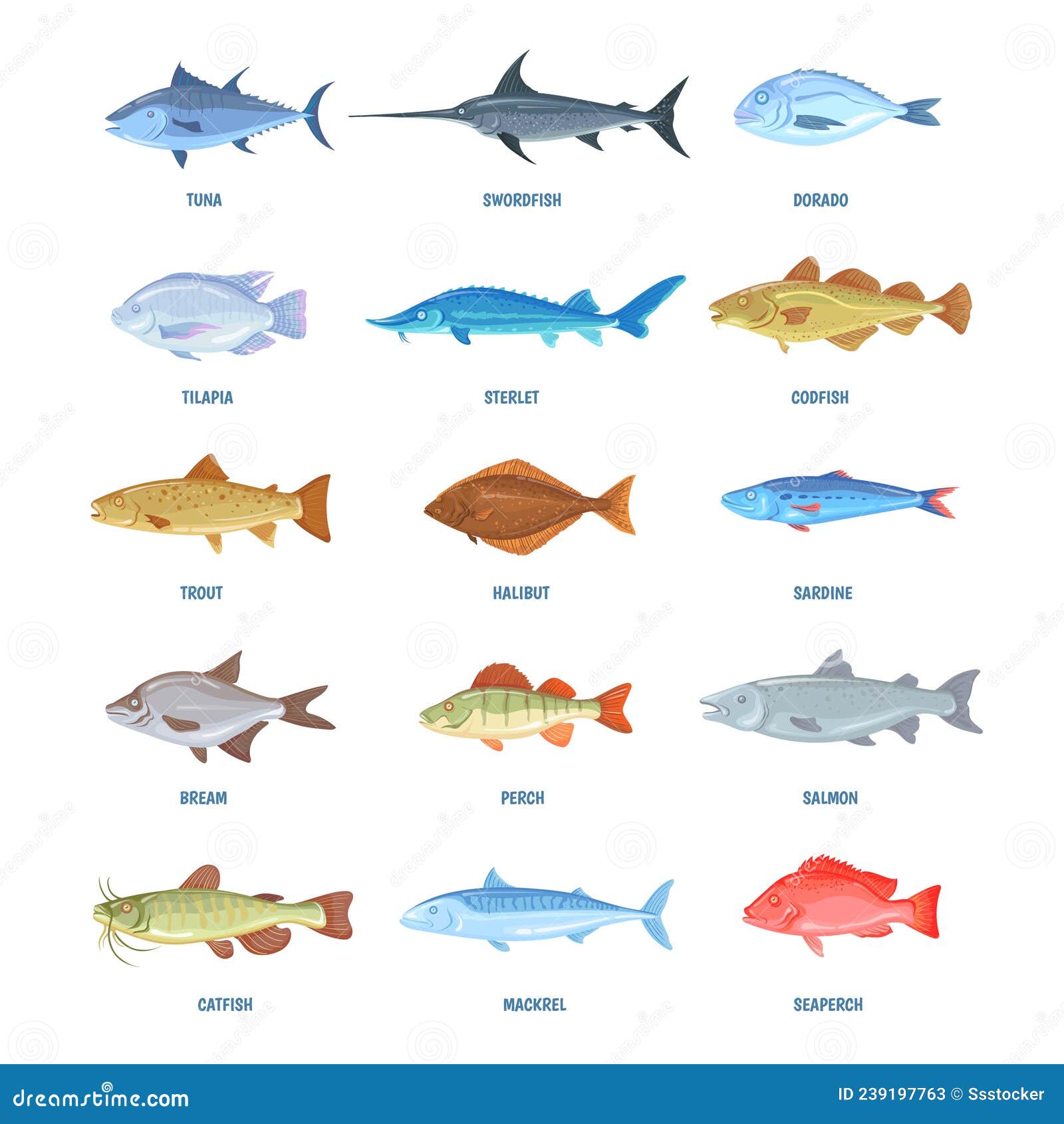 Saltwater and River Fishes. Cartoon Sea Ocean Fish, Sardine