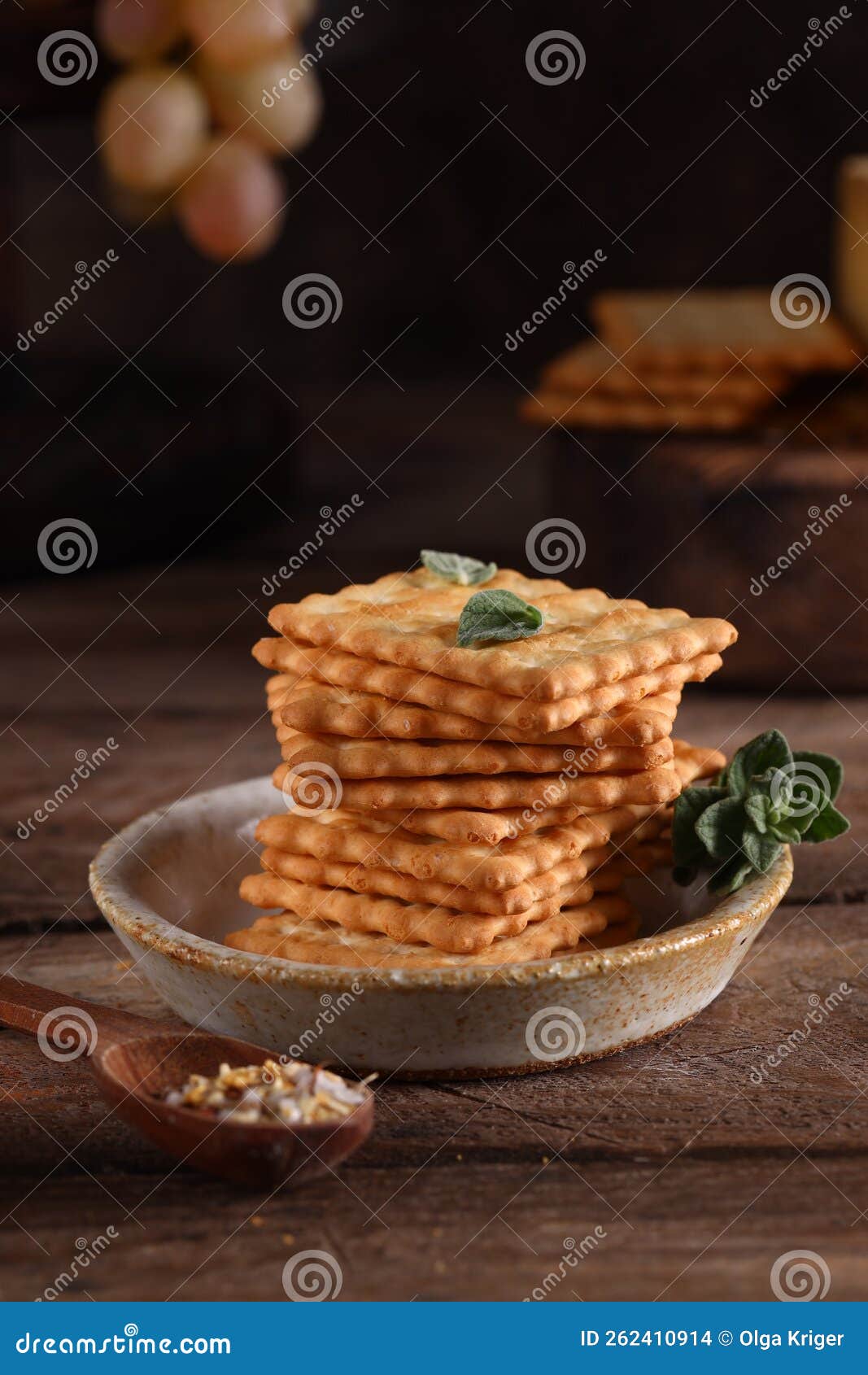 Salty cookie cracker stock photo. Image of breakfast 262410914