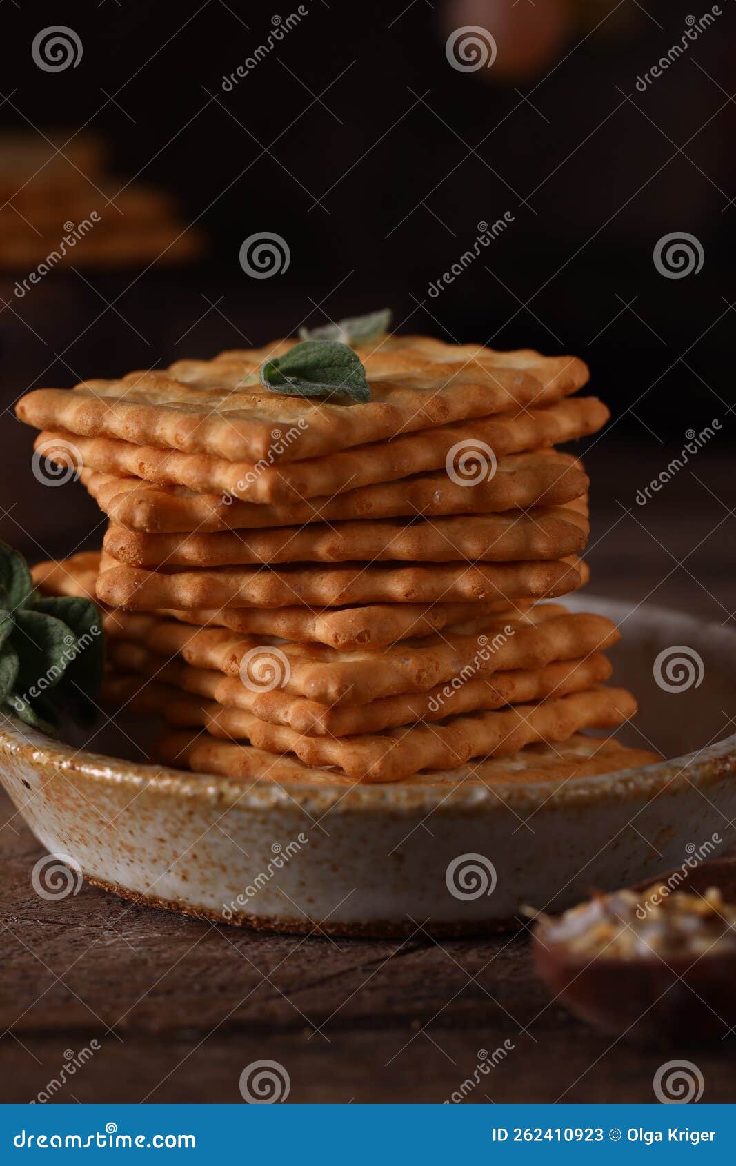 Salty cookie cracker stock image. Image of wheat, healthy 262410923