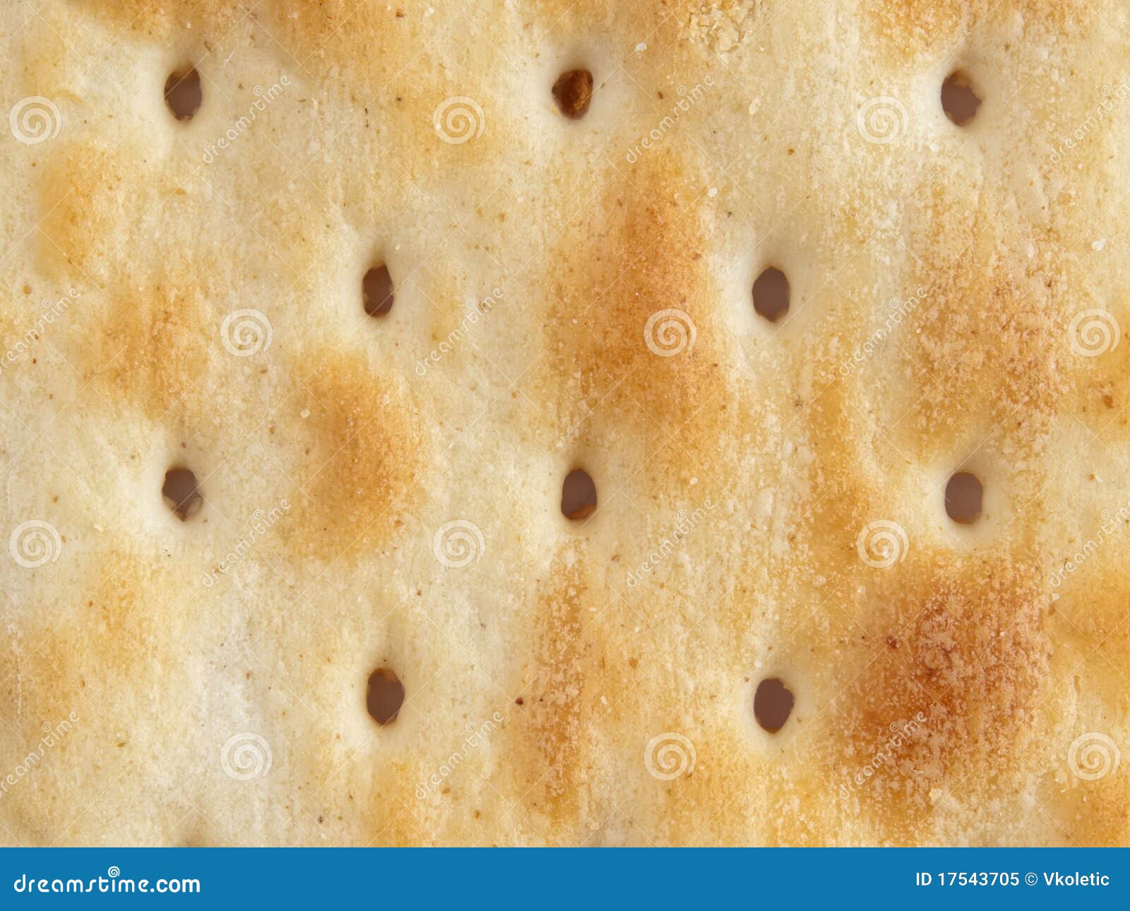salty cracker