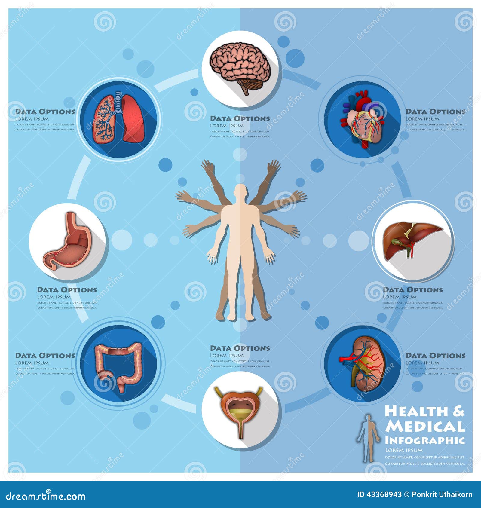 Salud Y Fondo Médico De La Ciencia De Infographic Infocharts Ilustración  del Vector - Ilustración de hospital, creativo: 43368943