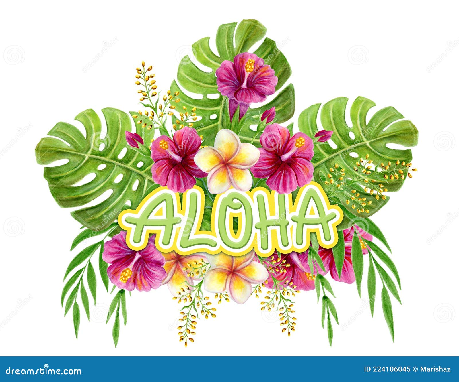 Saludo De Aloha Hawaii. Pintura Acuarela De Dibujos a Mano Con Hibiscos  Chinos Rosales Y Hojas De Palmera Aisladas En Blanco Stock de ilustración -  Ilustración de hibisco, flores: 224106045