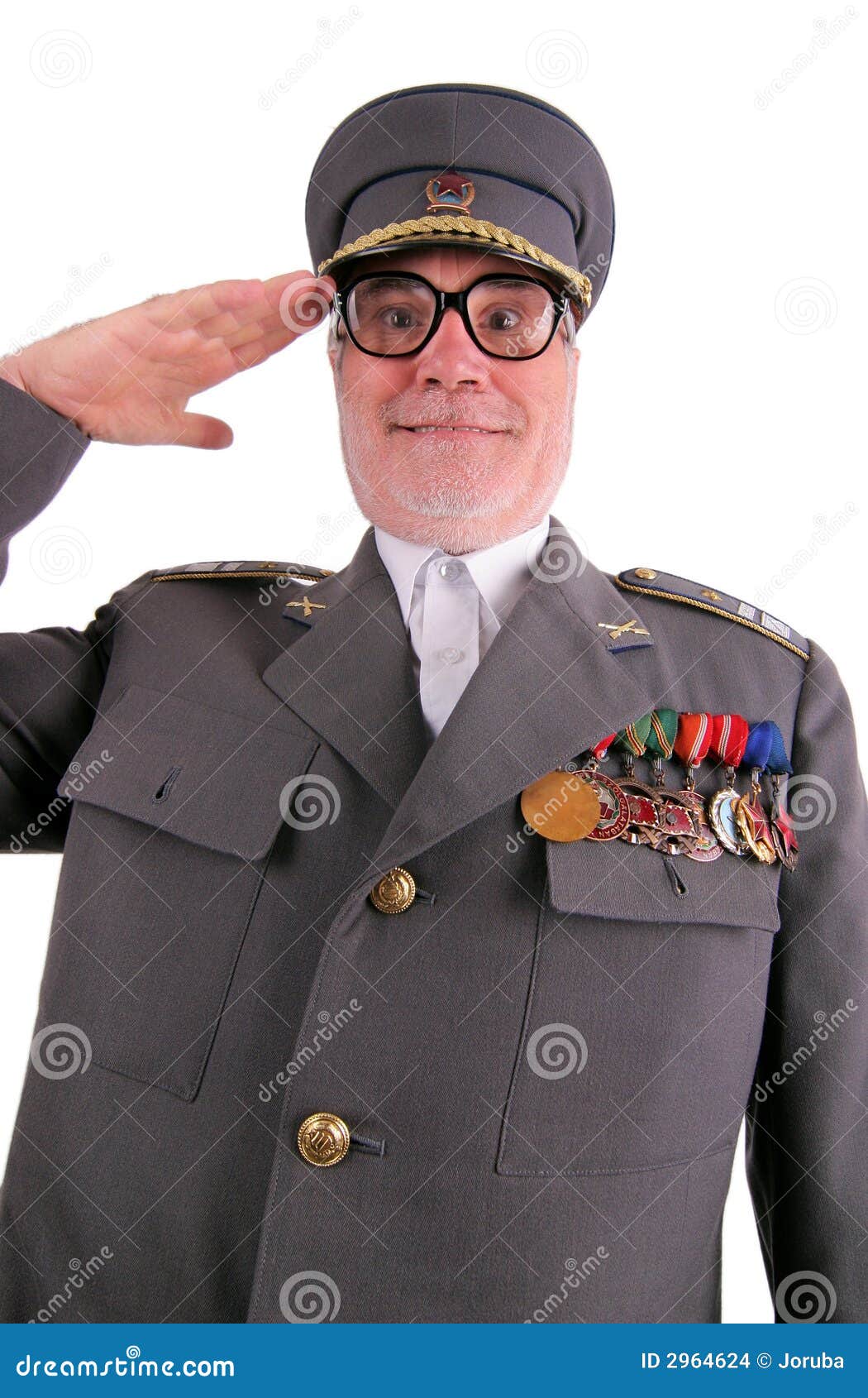 salute-stock-photo-image-of-saluting-funny-authority-2964624