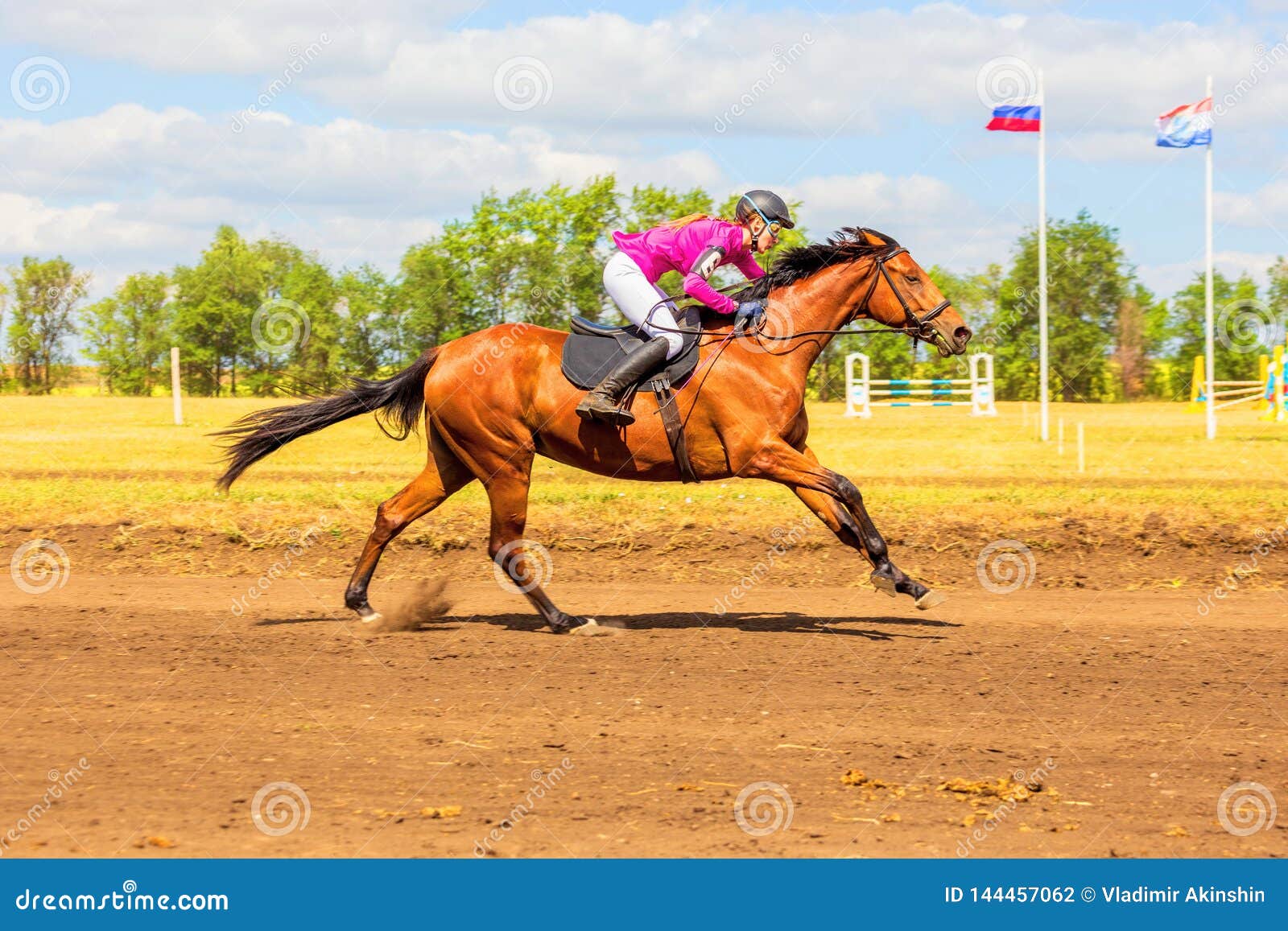 Preços baixos em Jogos de videogame de Corrida de Cavalos 2018 Ano de  Lançamento