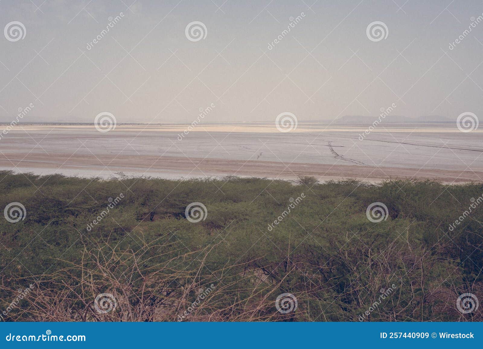 sambhar lake, sambhar, rajasthan, india