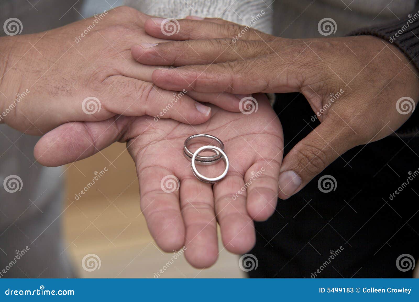 Same Sex Marriage Rings stock image. Image of homosexual - 5499183