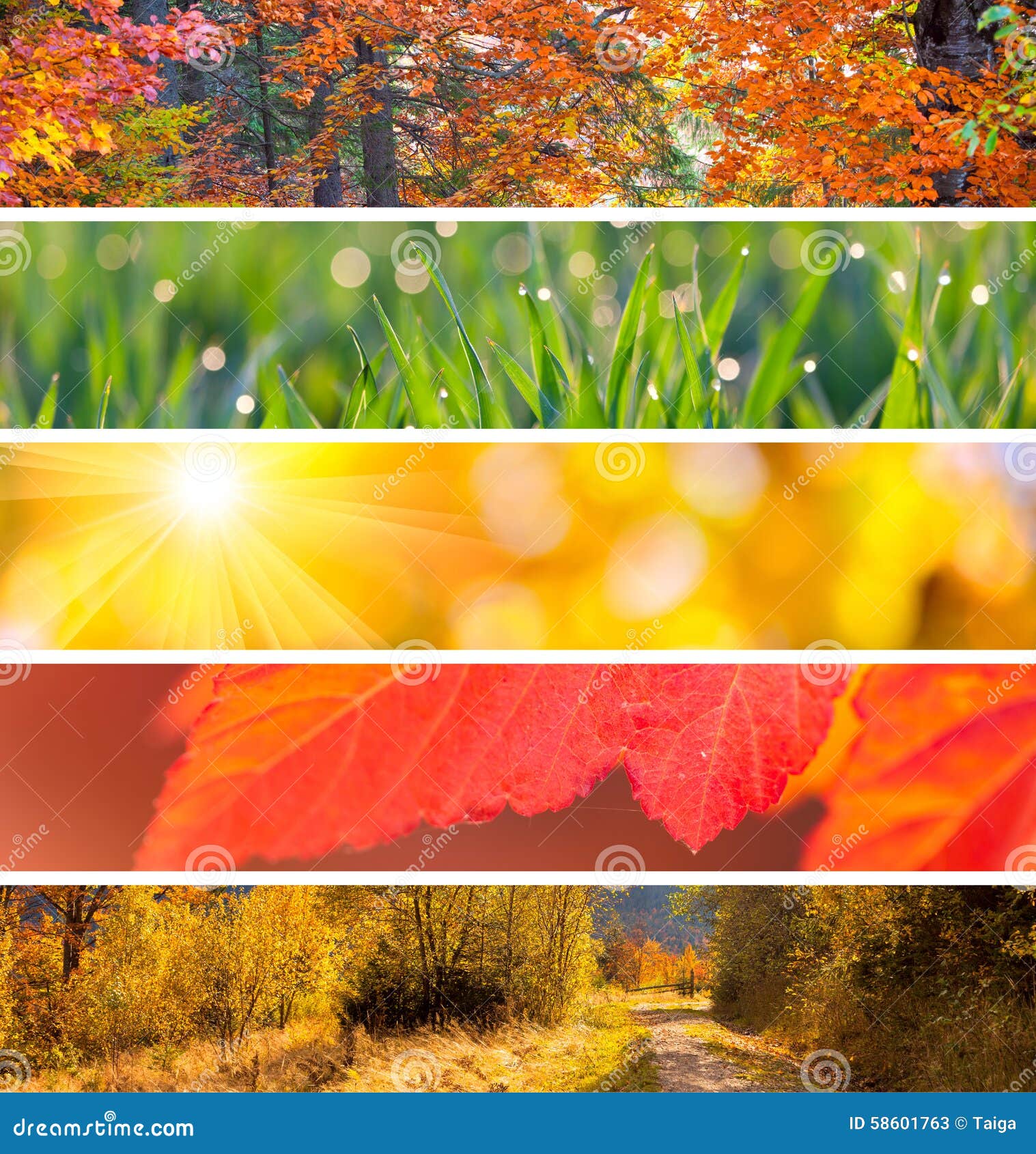 Sammlung Von Autumn Headers - Abstrakter Hintergrund Der Herbstsaison ...