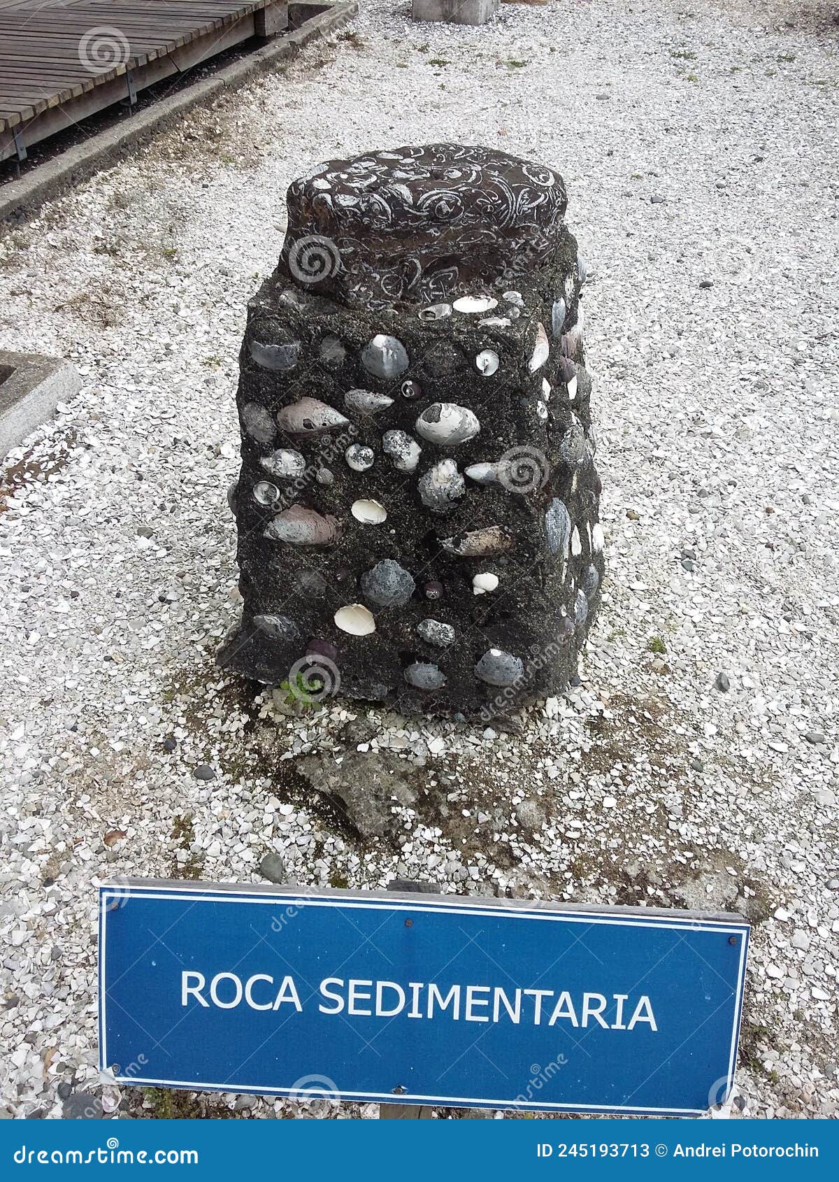 sample sedimentary rock (roca sedimentaria) in the open-air museum, chiloe island patagonia. chile