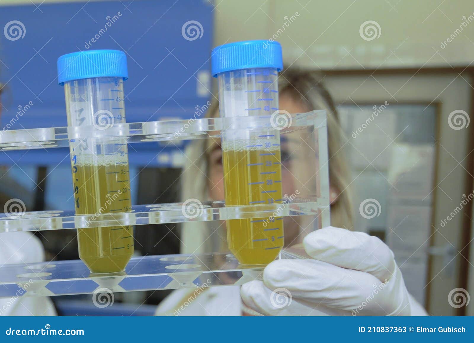 Samples in a Hygiene Laboratory Stock Image Image of fresh