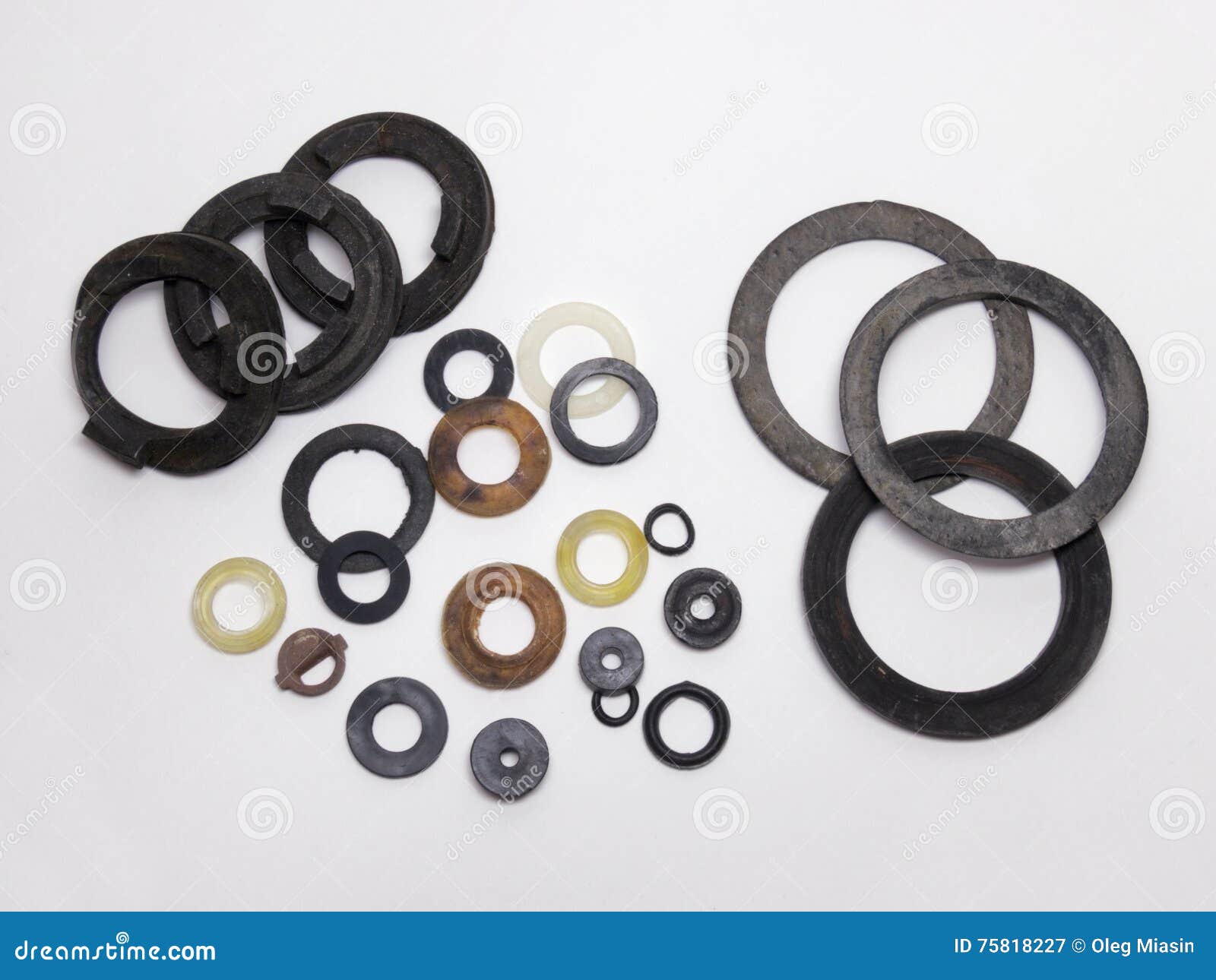 Samples of seal gaskets stock image. Image of objects 75818227