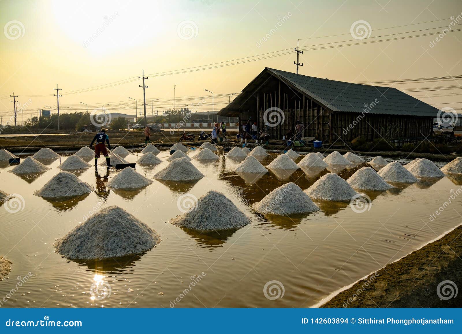 SAMUTSAKORN, Tailandia, el 21 de marzo de 2019, gente que trabaja en campo de la sal del mar en Tailandia. Gente que trabaja en campo de la sal del mar en la comida femenina del granjero de la granja de la evaporación del color de Asia de la agricultura de Tailandia que cosecha el trabajador blanco tropical de la industria del montón del ingrediente del hombre de la naturaleza una de la persona de la pila de la charca de la producción de la provincia de la reflexión del agua de mar del verano del sol del equipo de la textura del viaje tradicional soleado salado salino rural al aire libre orgánico mineral de trabajo caliente de la tradición