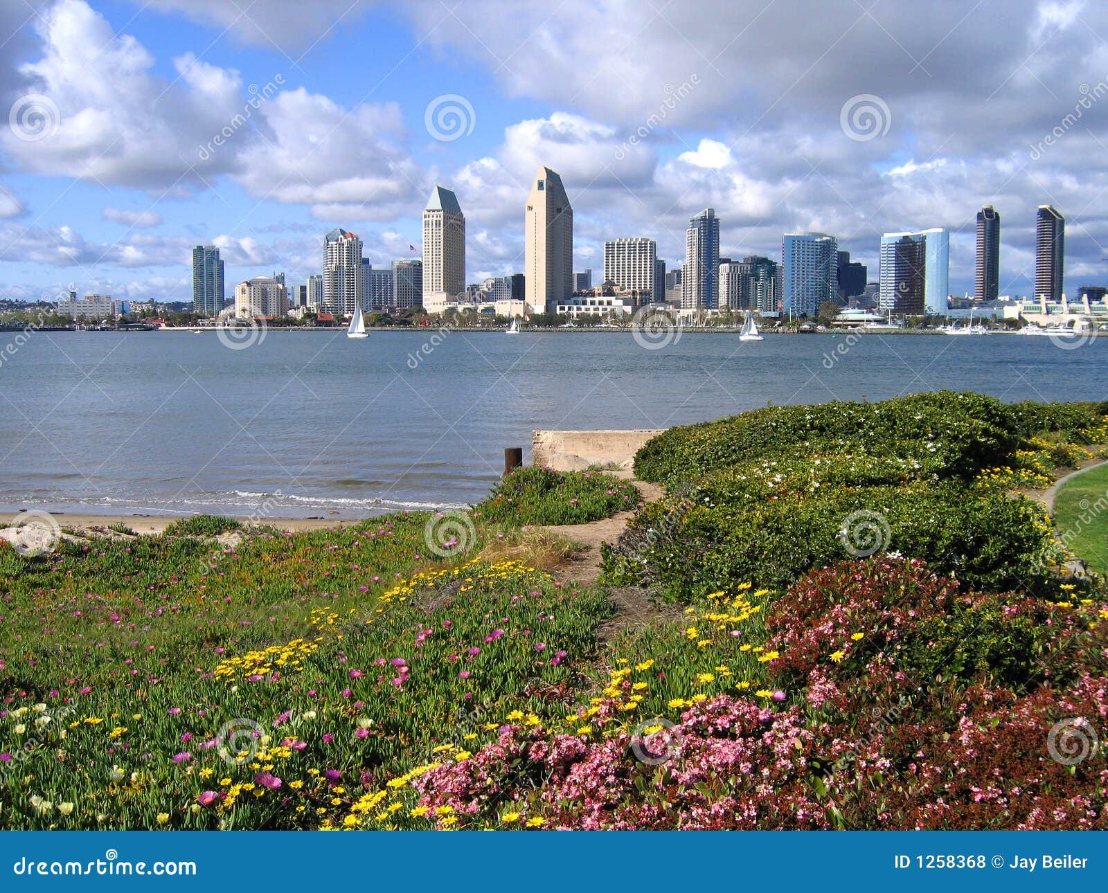 san diego from coronado