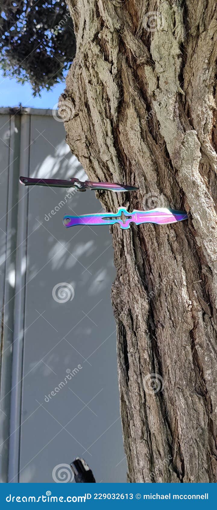 San Diego thrown knives stock image. Image of winter 229032613