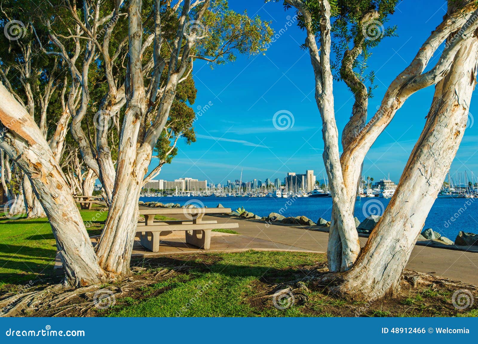 san diego waterfront park