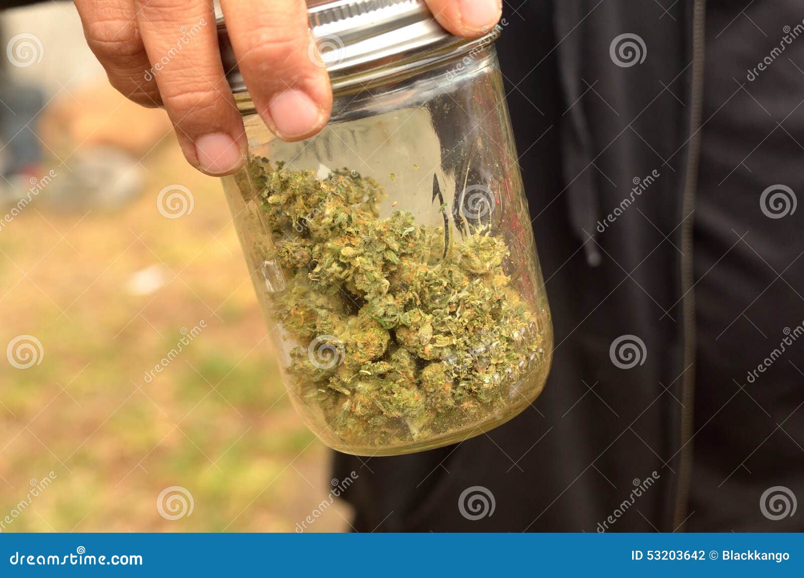 San Francisco 2015 420 Celebration Editorial Photography Image of