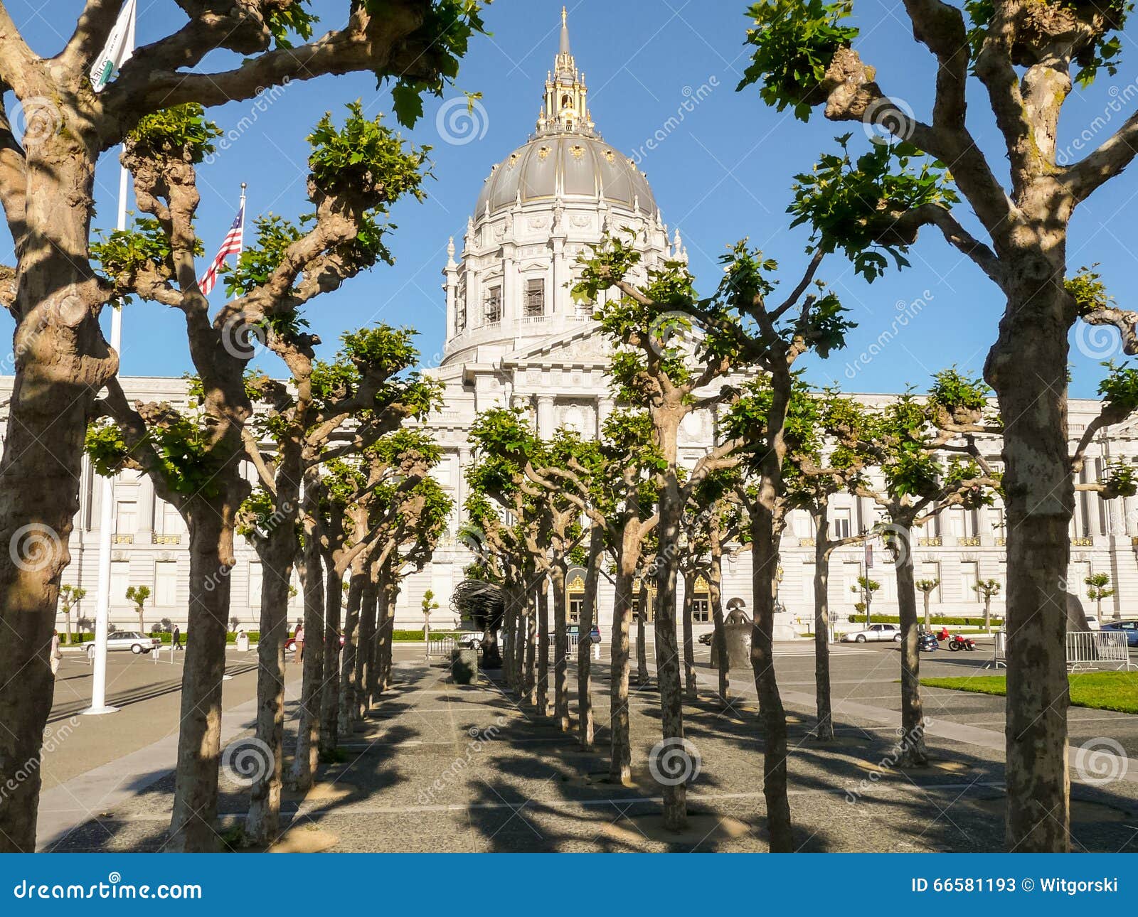 San Francisco City Hall Behind the Trees Stock Image Image of