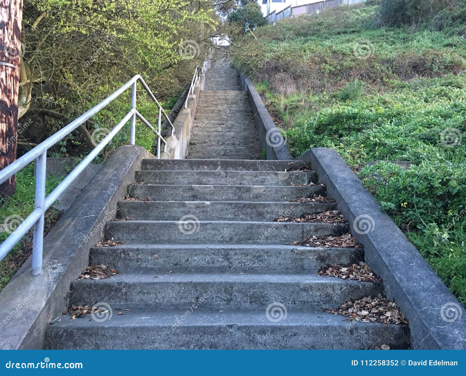 15th avenue steps, one of san francisco`s smallest, unofficial parks, 2.